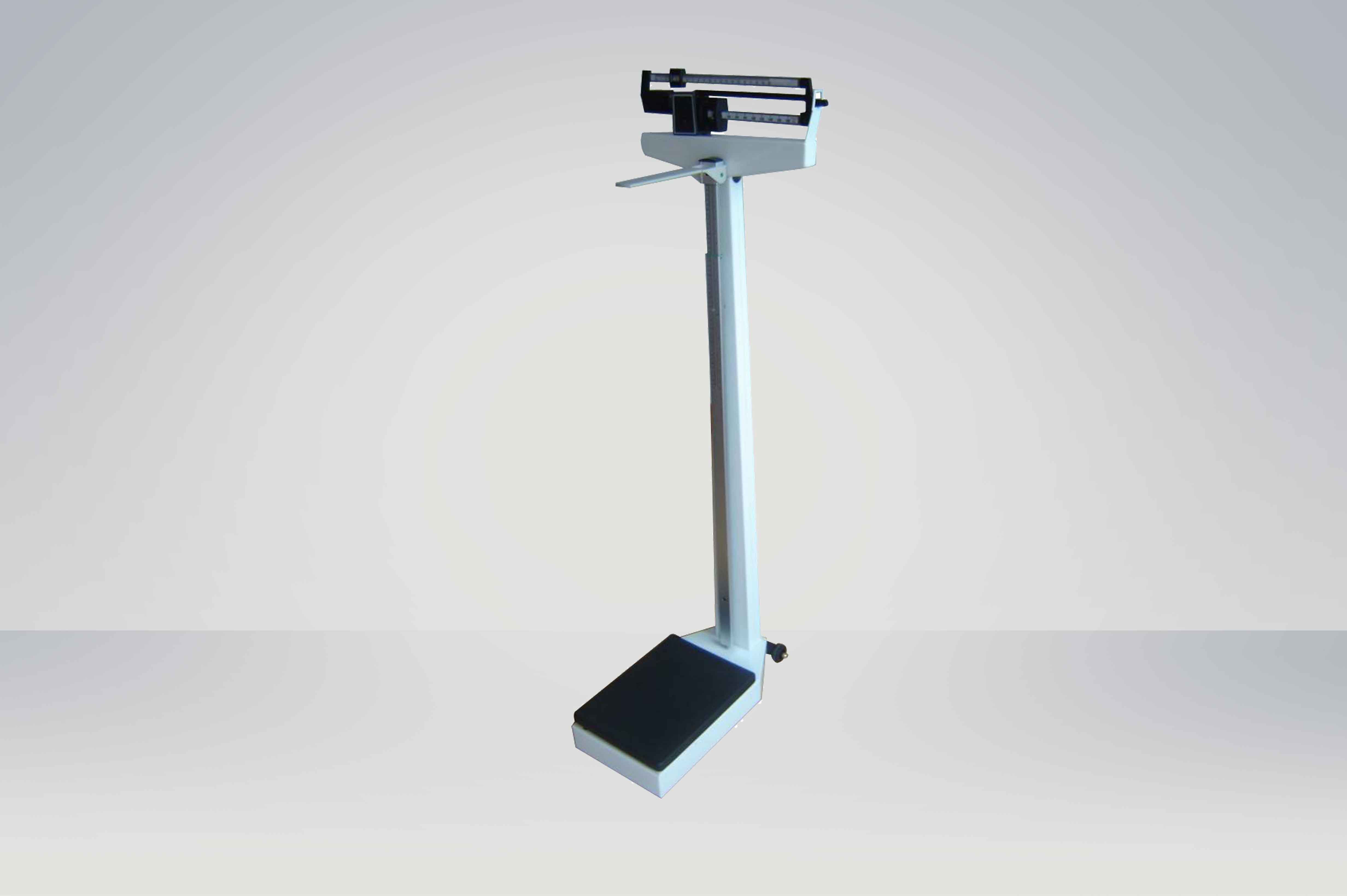 Double Ruler Body Scale