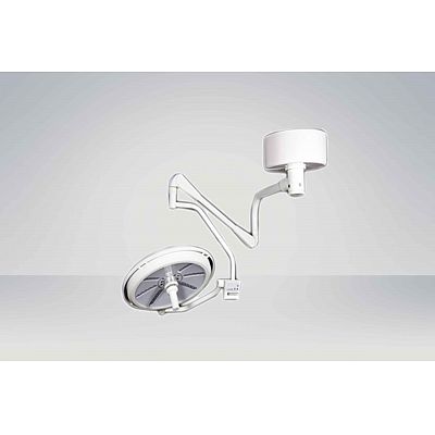 Single head ceiling type