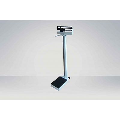 Double Ruler Body Scale